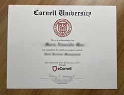 Apply for A Cornell University Diplo