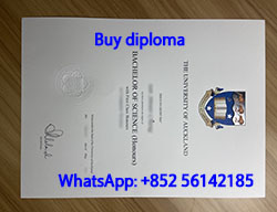 How much for a fake University of Au