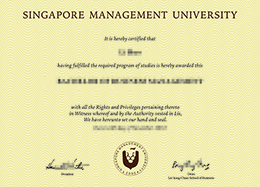 新加坡管理大学文凭办理，