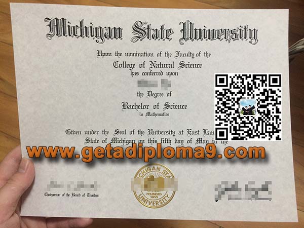 Michigan State University degree sample