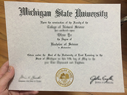 购买密西根州立大学毕业证，