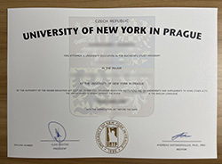 Purchase The University of New York 