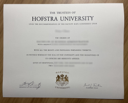 How to Get Hofstra University Degree