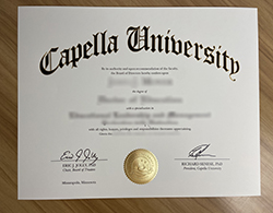 Obtain A Capella University Degree.