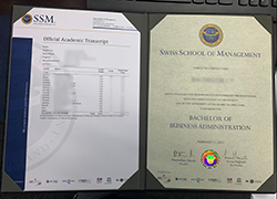 Where Can I Buy A Fake SSM Diploma?