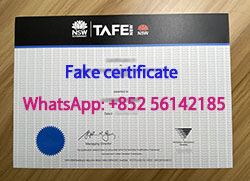 Received my TAFE NSW diploma, Buy TA