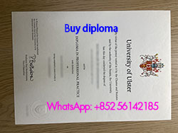 I want a fake University of Ulster d