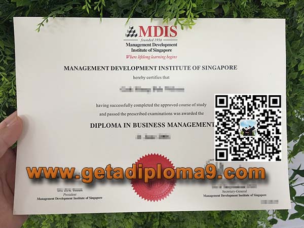 新加坡管理发展学院学历文凭，MDIS diploma
