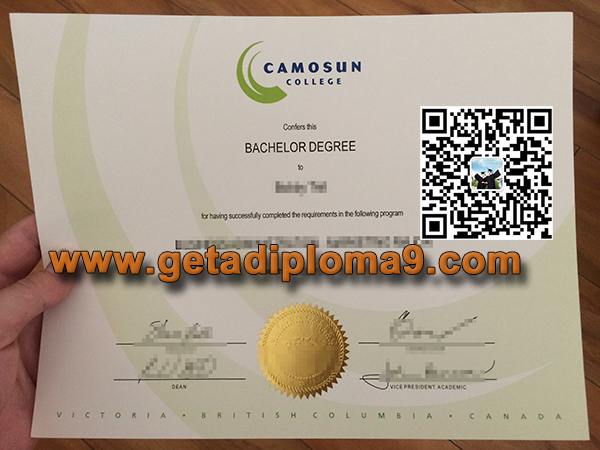 fake Camosun College diploma