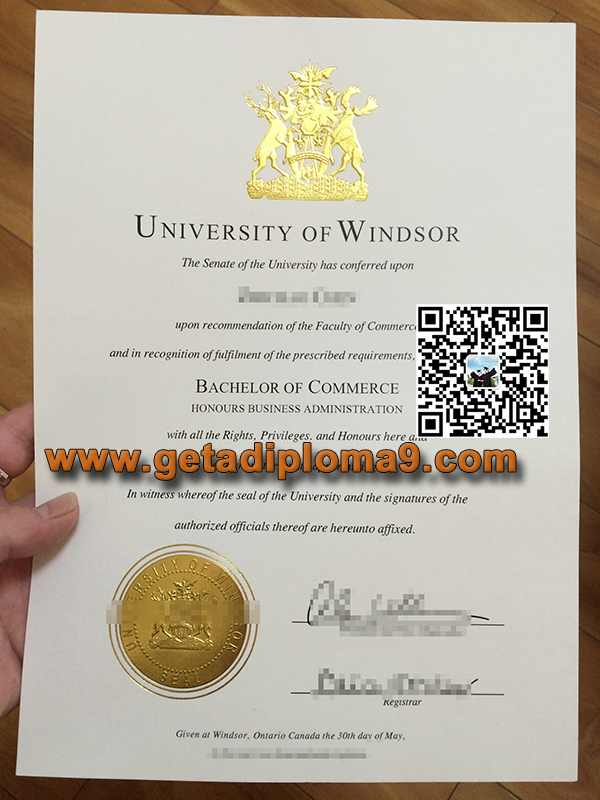 University of Windsor fake degree