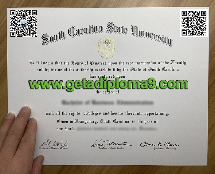 SCSU degree