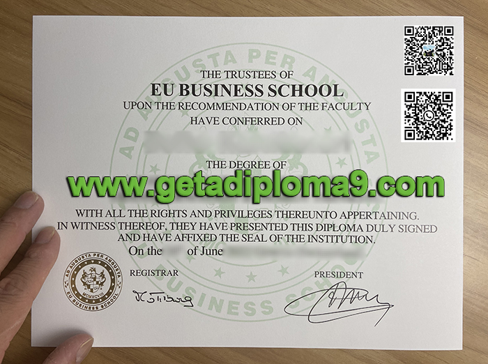 fake EU MBA diploma