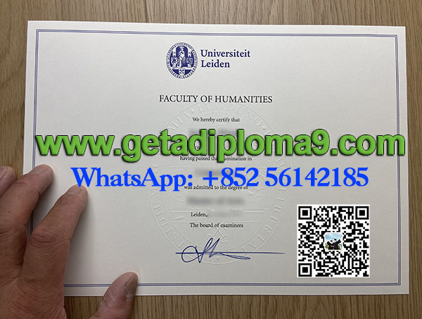 Universiteit Leiden diploma. 